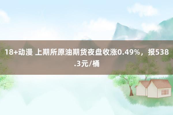 18+动漫 上期所原油期货夜盘收涨0.49%，报538.3元/桶