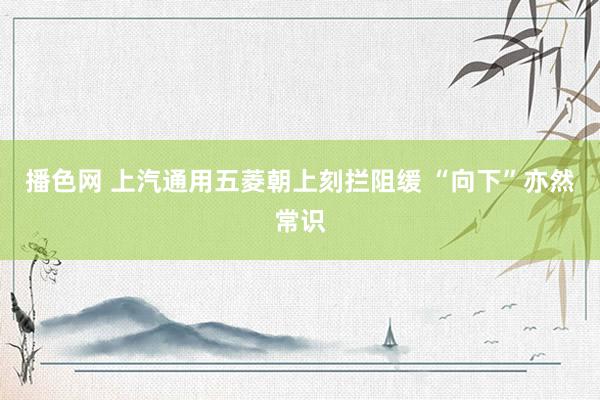 播色网 上汽通用五菱朝上刻拦阻缓 “向下”亦然常识