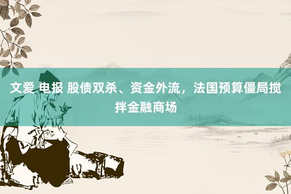 文爱 电报 股债双杀、资金外流，法国预算僵局搅拌金融商场