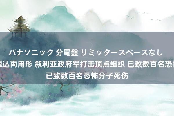 パナソニック 分電盤 リミッタースペースなし 露出・半埋込両用形 叙利亚政府军打击顶点组织 已致数百名恐怖分子死伤