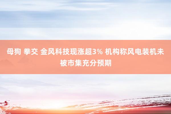 母狗 拳交 金风科技现涨超3% 机构称风电装机未被市集充分预期