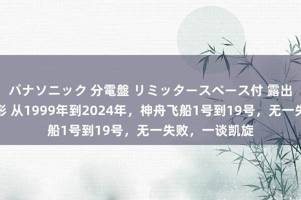 パナソニック 分電盤 リミッタースペース付 露出・半埋込両用形 从1999年到2024年，神舟飞船1号到19号，无一失败，一谈凯旋