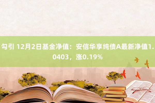 勾引 12月2日基金净值：安信华享纯债A最新净值1.0403，涨0.19%