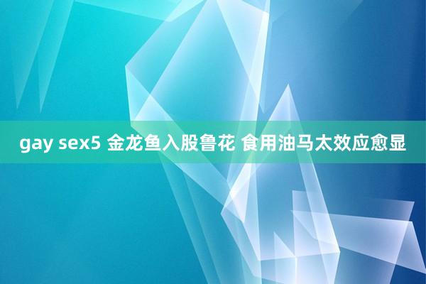 gay sex5 金龙鱼入股鲁花 食用油马太效应愈显