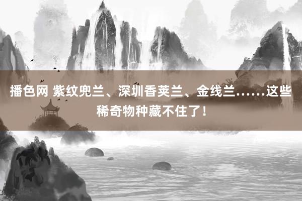 播色网 紫纹兜兰、深圳香荚兰、金线兰……这些稀奇物种藏不住了！