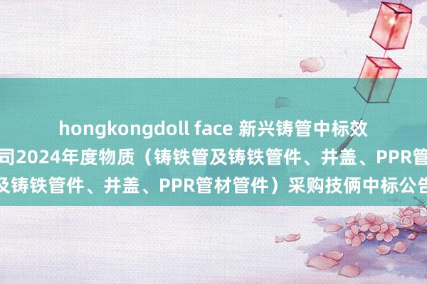 hongkongdoll face 新兴铸管中标效果：威海市文登区自来水公司2024年度物质（铸铁管及铸铁管件、井盖、PPR管材管件）采购技俩中标公告