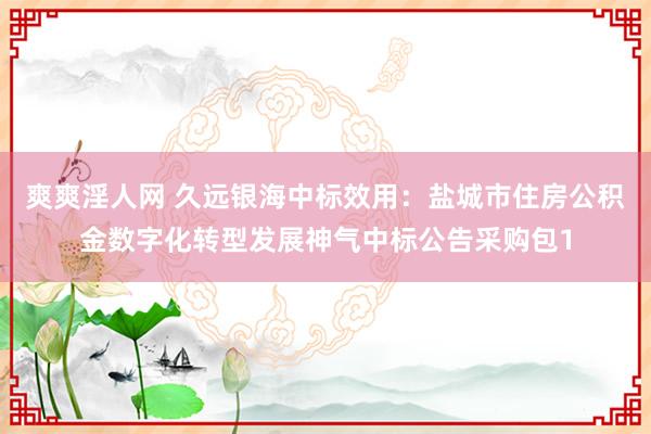 爽爽淫人网 久远银海中标效用：盐城市住房公积金数字化转型发展神气中标公告采购包1