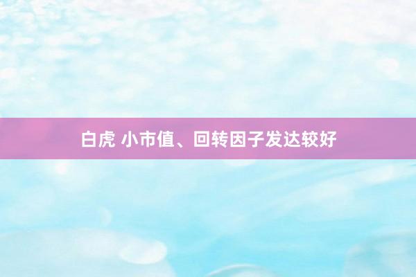 白虎 小市值、回转因子发达较好