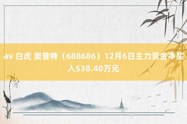 av 白虎 奥普特（688686）12月6日主力资金净买入538.40万元