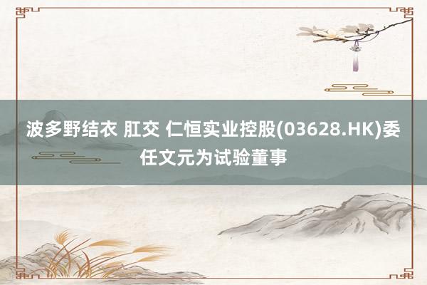 波多野结衣 肛交 仁恒实业控股(03628.HK)委任文元为试验董事