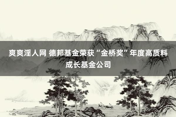爽爽淫人网 德邦基金荣获“金桥奖”年度高质料成长基金公司