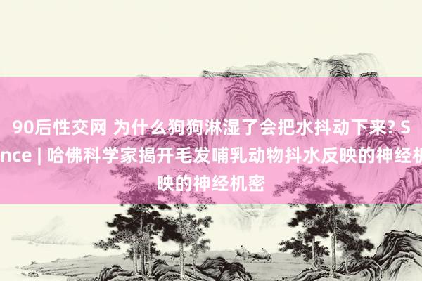 90后性交网 为什么狗狗淋湿了会把水抖动下来? Science | 哈佛科学家揭开毛发哺乳动物抖水反映的神经机密