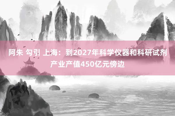 阿朱 勾引 上海：到2027年科学仪器和科研试剂产业产值450亿元傍边