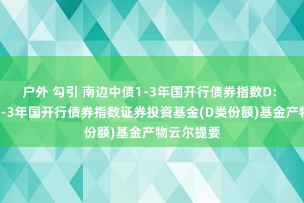 户外 勾引 南边中债1-3年国开行债券指数D: 南边中债1-3年国开行债券指数证券投资基金(D类份额)基金产物云尔提要