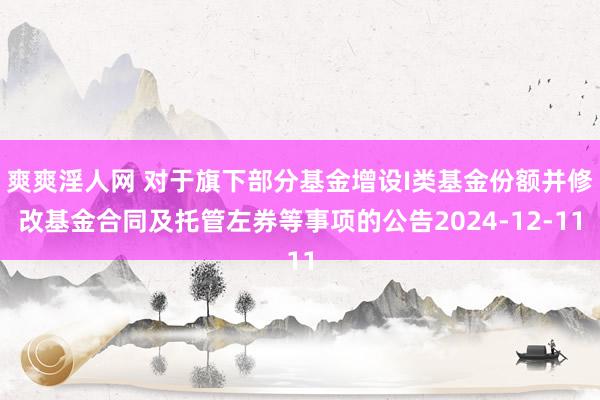 爽爽淫人网 对于旗下部分基金增设I类基金份额并修改基金合同及托管左券等事项的公告2024-12-11