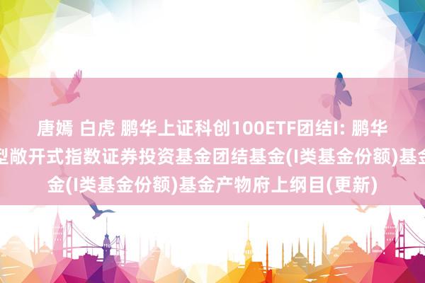 唐嫣 白虎 鹏华上证科创100ETF团结I: 鹏华上证科创板100交往型敞开式指数证券投资基金团结基金(I类基金份额)基金产物府上纲目(更新)
