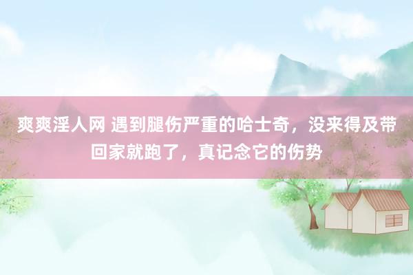 爽爽淫人网 遇到腿伤严重的哈士奇，没来得及带回家就跑了，真记念它的伤势