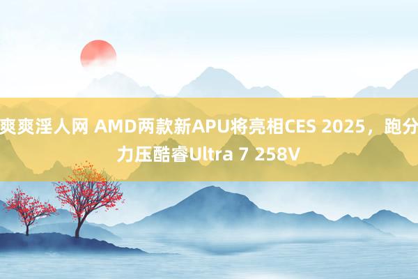 爽爽淫人网 AMD两款新APU将亮相CES 2025，跑分力压酷睿Ultra 7 258V