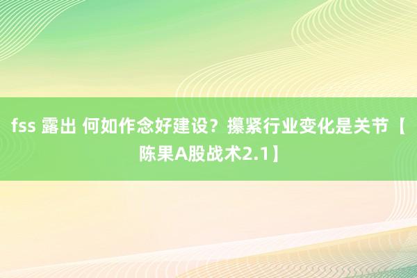 fss 露出 何如作念好建设？攥紧行业变化是关节【陈果A股战术2.1】