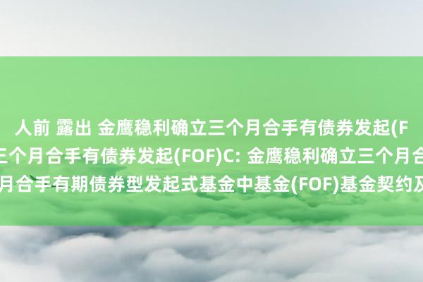 人前 露出 金鹰稳利确立三个月合手有债券发起(FOF)A，金鹰稳利确立三个月合手有债券发起(FOF)C: 金鹰稳利确立三个月合手有期债券型发起式基金中基金(FOF)基金契约及招募评释书教唆性公告