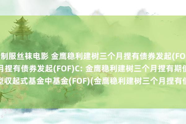 制服丝袜电影 金鹰稳利建树三个月捏有债券发起(FOF)A,金鹰稳利建树三个月捏有债券发起(FOF)C: 金鹰稳利建树三个月捏有期债券型収起式基金中基金(FOF)(金鹰稳利建树三个月捏有债券収起(FOF)C)基金产物良友提要