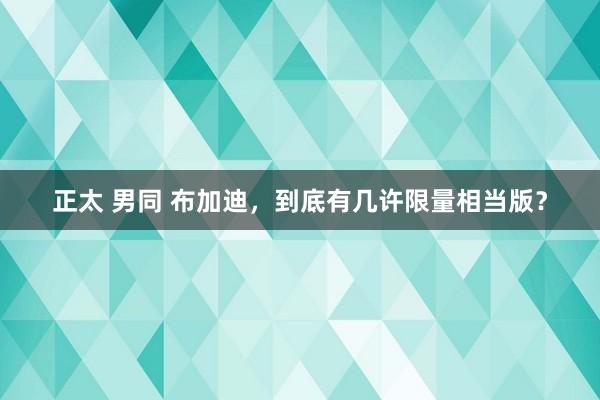 正太 男同 布加迪，到底有几许限量相当版？