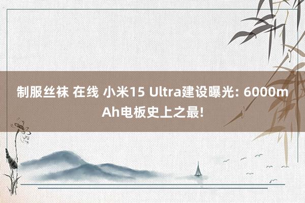 制服丝袜 在线 小米15 Ultra建设曝光: 6000mAh电板史上之最!