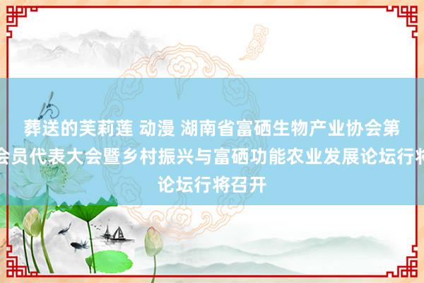葬送的芙莉莲 动漫 湖南省富硒生物产业协会第三届会员代表大会暨乡村振兴与富硒功能农业发展论坛行将召开