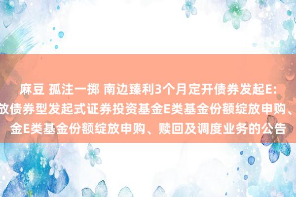 麻豆 孤注一掷 南边臻利3个月定开债券发起E: 南边臻利3个月按时绽放债券型发起式证券投资基金E类基金份额绽放申购、赎回及调度业务的公告