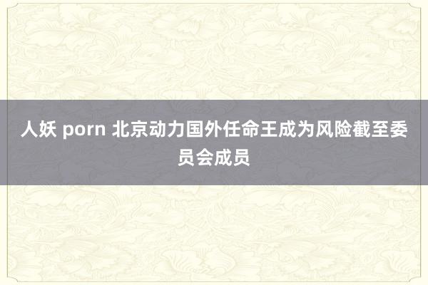 人妖 porn 北京动力国外任命王成为风险截至委员会成员