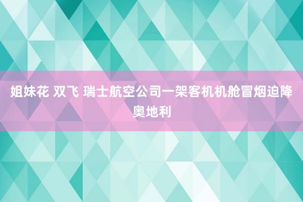 姐妹花 双飞 瑞士航空公司一架客机机舱冒烟迫降奥地利