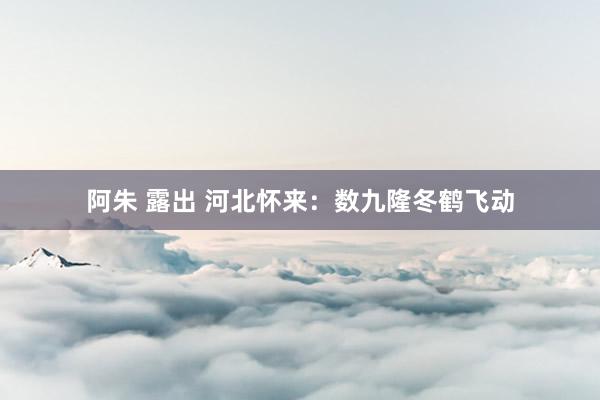 阿朱 露出 河北怀来：数九隆冬鹤飞动