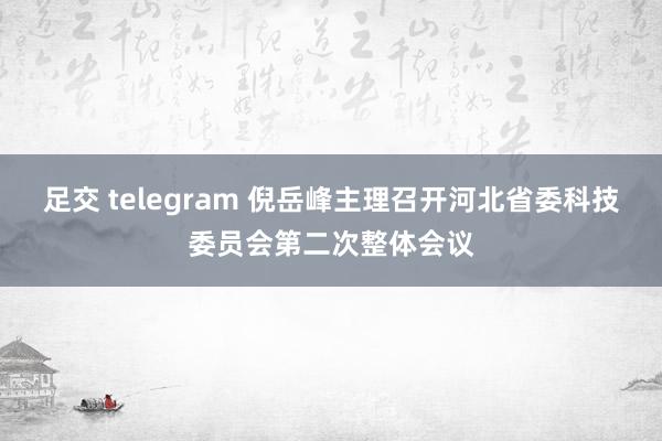 足交 telegram 倪岳峰主理召开河北省委科技委员会第二次整体会议