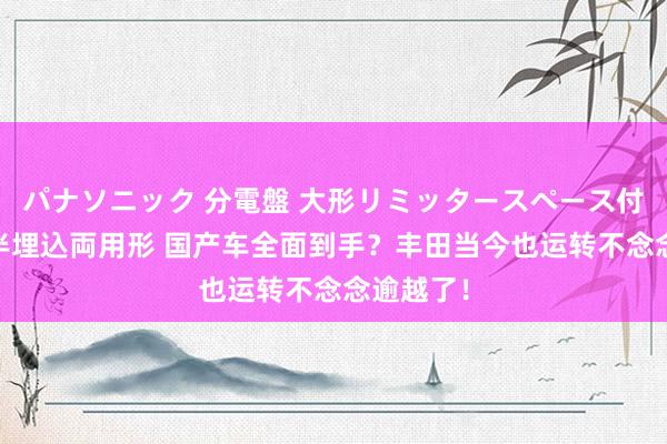 パナソニック 分電盤 大形リミッタースペース付 露出・半埋込両用形 国产车全面到手？丰田当今也运转不念念逾越了！