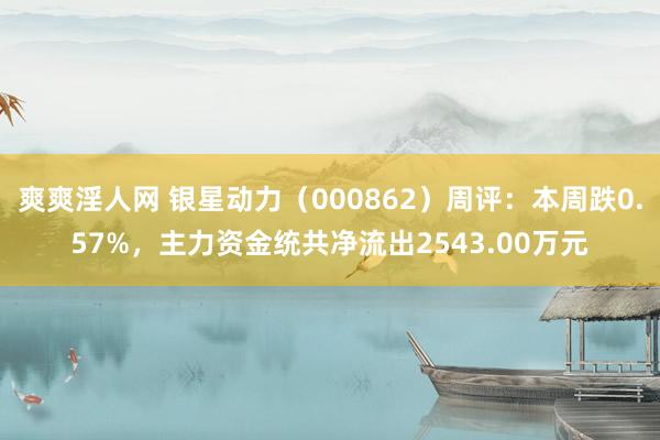 爽爽淫人网 银星动力（000862）周评：本周跌0.57%，主力资金统共净流出2543.00万元