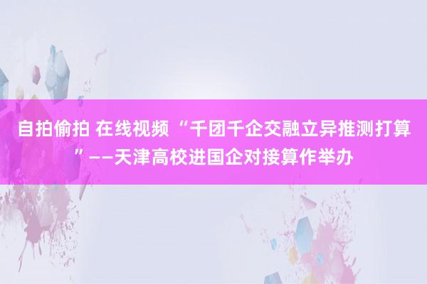 自拍偷拍 在线视频 “千团千企交融立异推测打算”——天津高校进国企对接算作举办