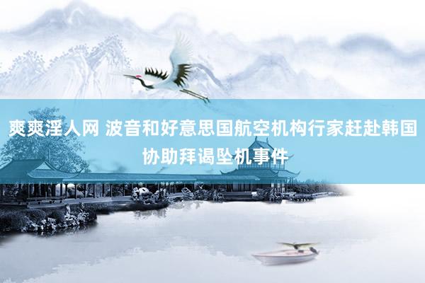 爽爽淫人网 波音和好意思国航空机构行家赶赴韩国 协助拜谒坠机事件