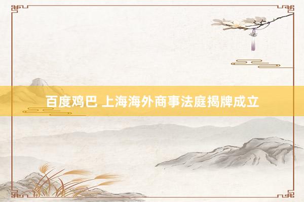 百度鸡巴 上海海外商事法庭揭牌成立