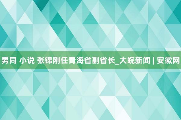 男同 小说 张锦刚任青海省副省长_大皖新闻 | 安徽网