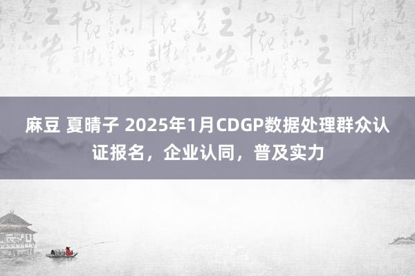 麻豆 夏晴子 2025年1月CDGP数据处理群众认证报名，企业认同，普及实力