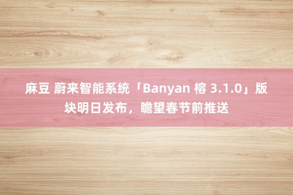 麻豆 蔚来智能系统「Banyan 榕 3.1.0」版块明日发布，瞻望春节前推送