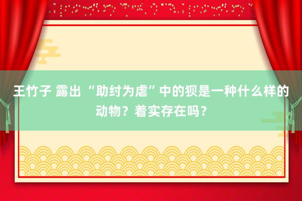 王竹子 露出 “助纣为虐”中的狈是一种什么样的动物？着实存在吗？