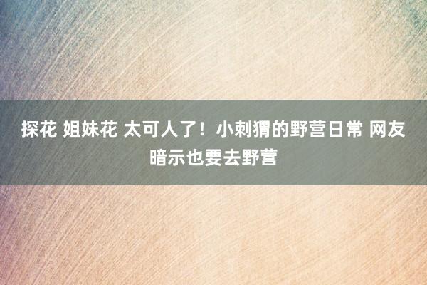 探花 姐妹花 太可人了！小刺猬的野营日常 网友暗示也要去野营