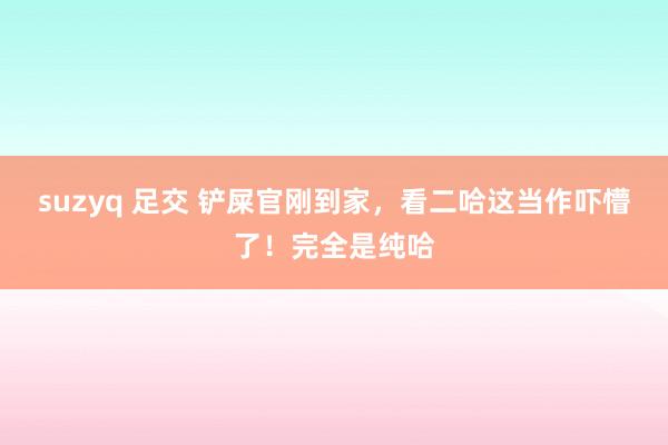 suzyq 足交 铲屎官刚到家，看二哈这当作吓懵了！完全是纯哈