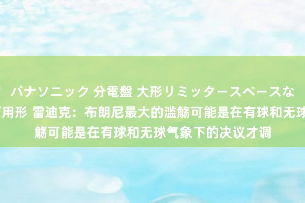 パナソニック 分電盤 大形リミッタースペースなし 露出・半埋込両用形 雷迪克：布朗尼最大的滥觞可能是在有球和无球气象下的决议才调