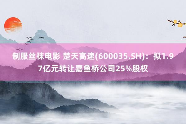 制服丝袜电影 楚天高速(600035.SH)：拟1.97亿元转让嘉鱼桥公司25%股权